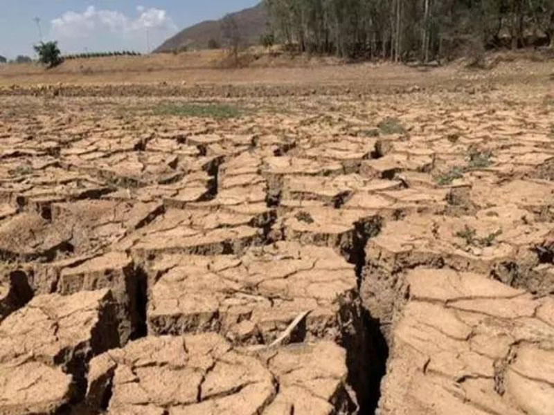 神健糧機(jī)——多地幾個(gè)月未降雨，會(huì)出現(xiàn)干旱嗎？